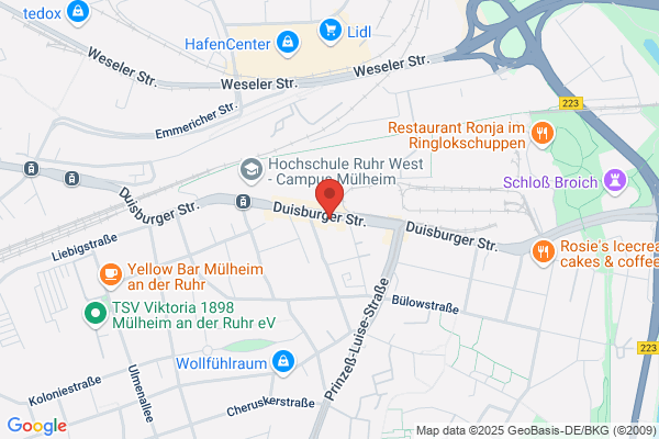 Starschnitt GKH GmbH & Co. KG