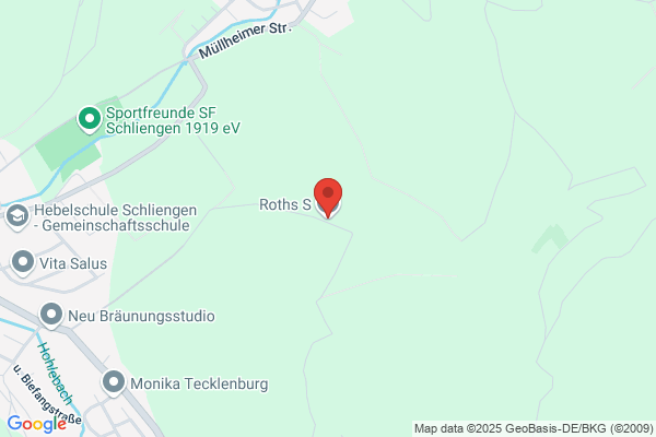 Siegfried Roths