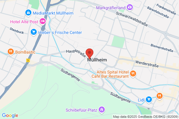 Henrik Nassal