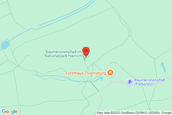 Baumkronenpfad im Nationalpark Hainich