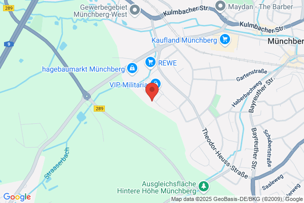 MEV Elektronik Service GmbH