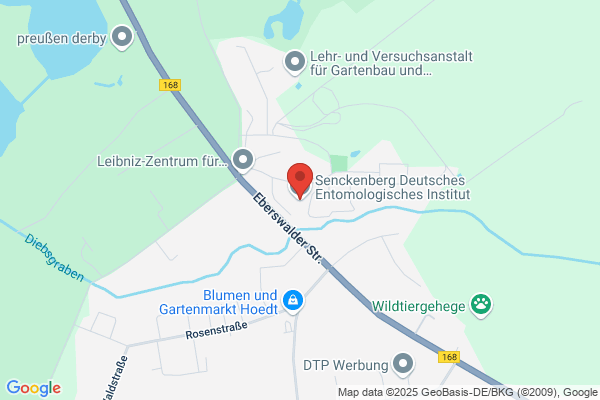 Senckenberg Deutsches Entomologisches Institut
