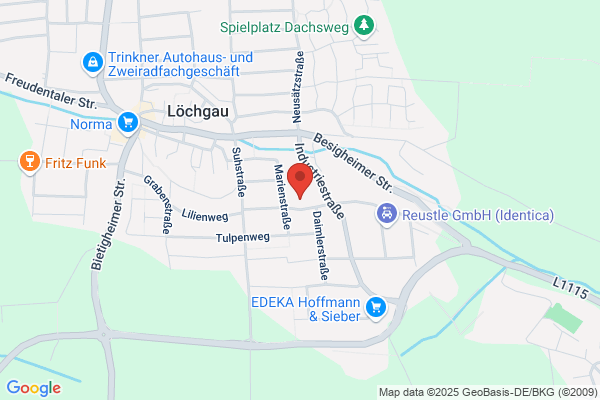 Rapp GmbH