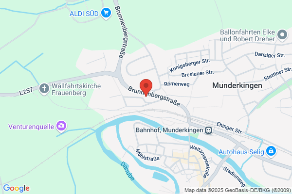 Wiker Der Vermittler