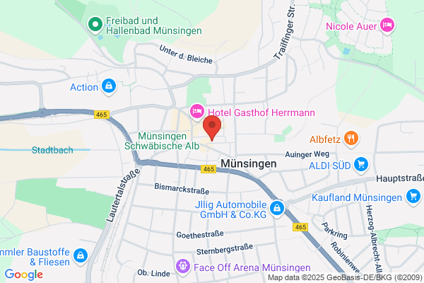 a.i.p. Immobilien GmbH