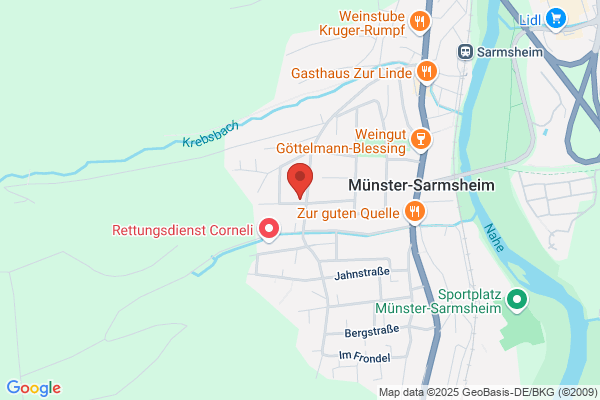 Apart Hotel Bingen