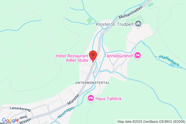Hotel Adler-Stube