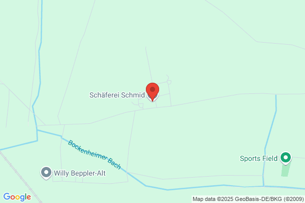 Walter Schäfer