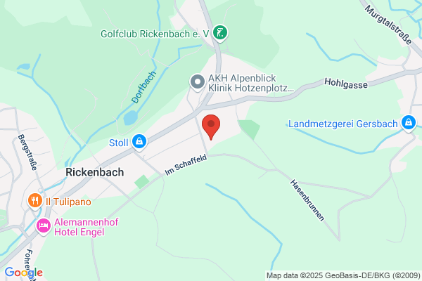 Holzbau Manz
