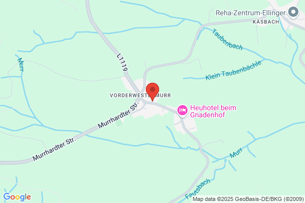 Kaufmann Schweißerei GmbH & Co KG