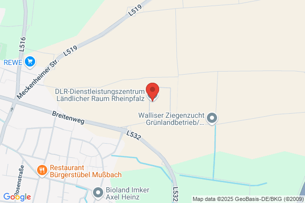 Dienstleistungszentrum Ländlicher Raum DLR Rheinpfalz Berufsbildende Schule
