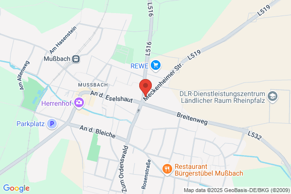 Elwetritsche Stubb