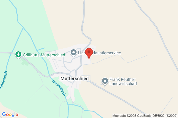 Müller Heimo Die Hausengel