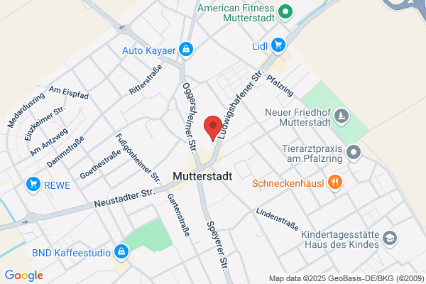 PFALZWERKE Ladestation
