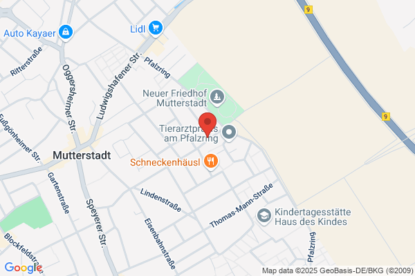 Englmann