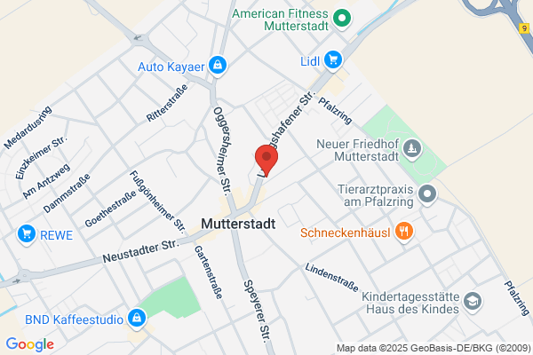 Schülerkreis Dr. Scholl GmbH