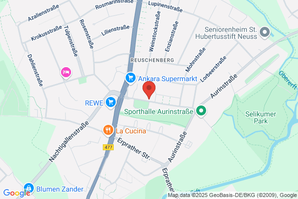 Niepmann sen. Estriche GmbH & Co. KG