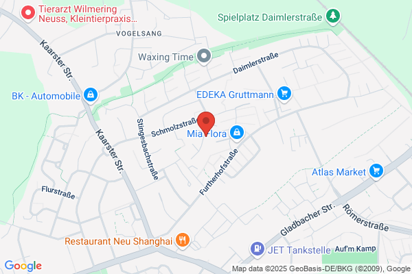 Freeson Im- und Export GmbH