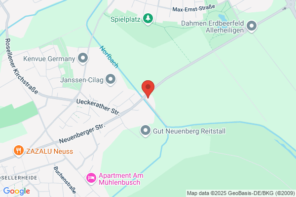 Waldkindergarten Frischlinge