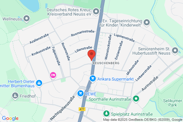 Reminex GmbH