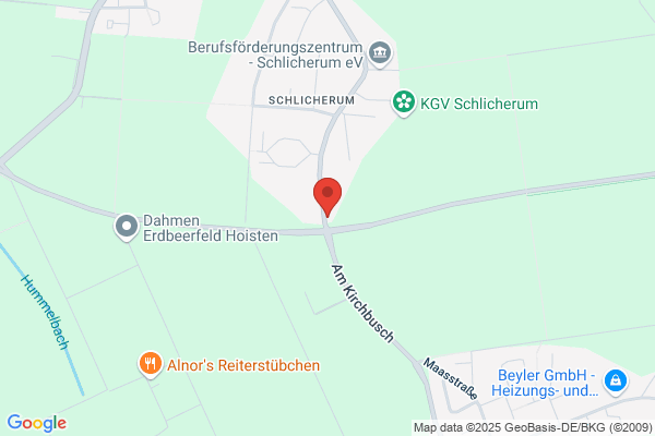 Taxiuntenehmen Lips