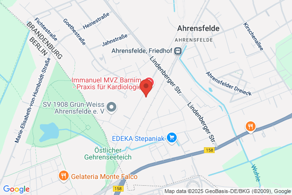 RZI Software GmbH