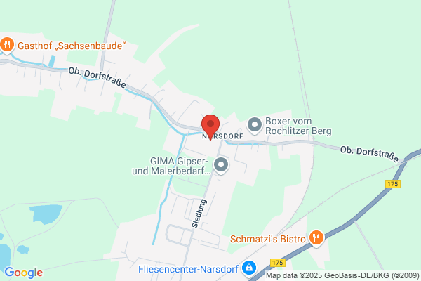 Dipl.-Ing. (FH) Henry Hermsdorf