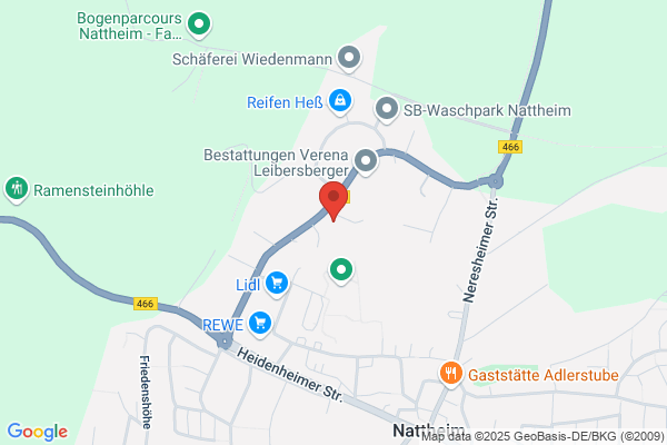 Friedrich Kral