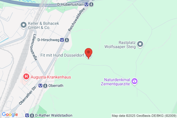 Fitnesscenter für Hund und Hundehalter