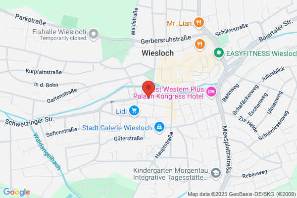 Video Express Neckargemünd