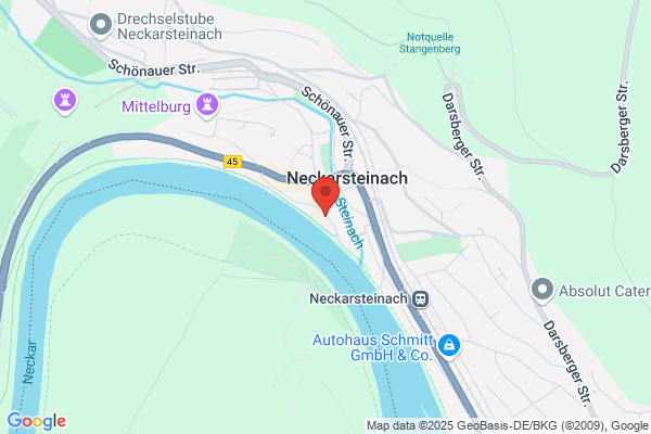 Rhein-Neckar- Fahrgastschifffahrt GmbH