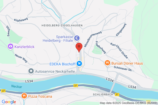 Neckarschule