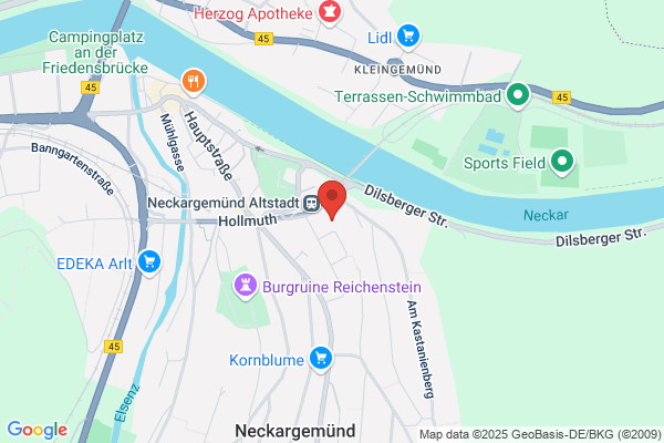 Realschule Neckargemünd