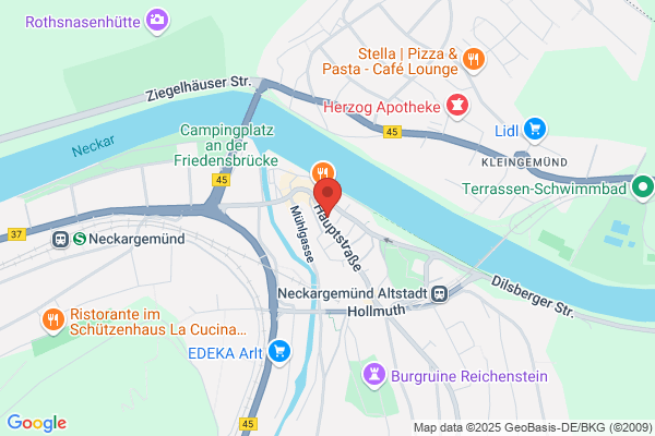 Art Hotel Neckar