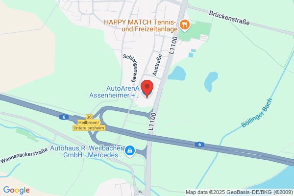 AutoArenA Assenheimer + Mulfinger GmbH & Co. KG