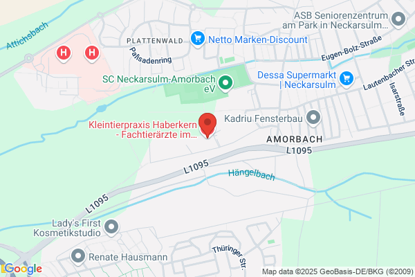 Haberkern, Karl