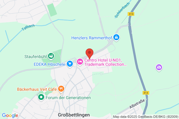 Frisch Steuerberatungsgesellschaft mbH