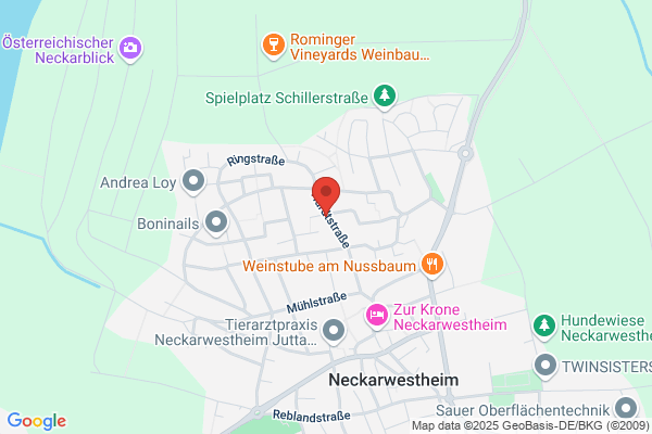 Alcan International Network Deutschland GmbH
