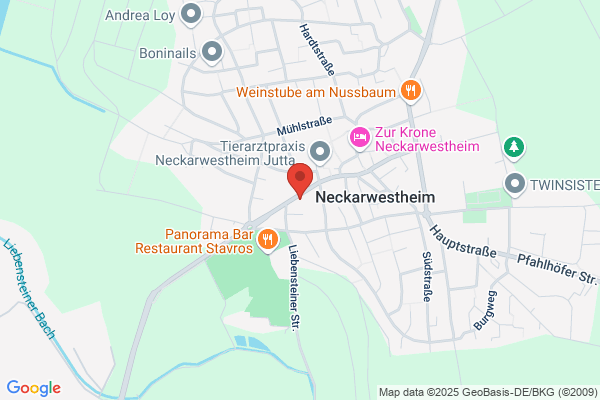 Praxis für Logopädie Damaris Noack