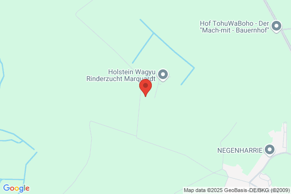 Hadron Business Service AG