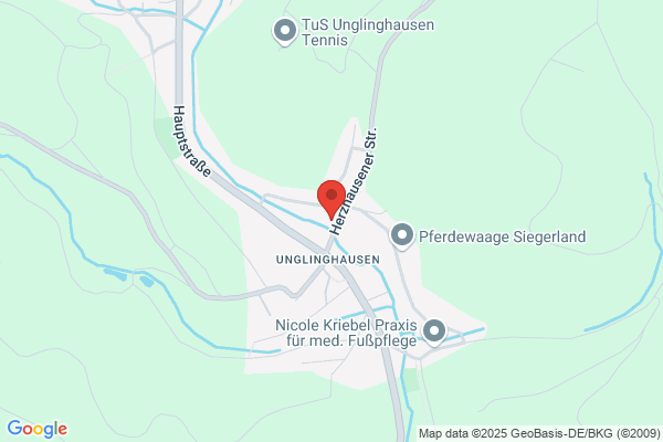 Dipl.-Ing. Wolfgang Hagedorn