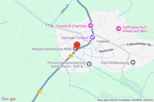 Rütz