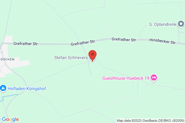 Hansjoerg Schafhausen