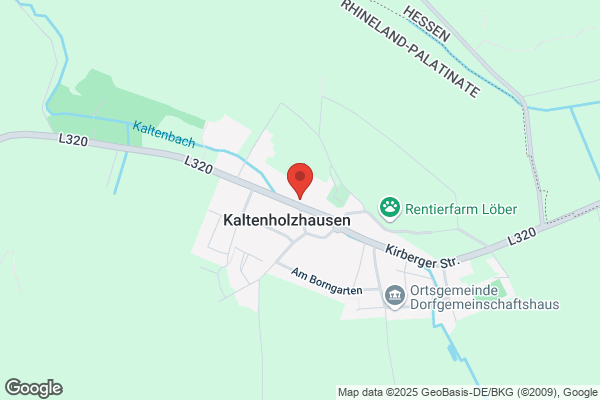 Katzenpension-Pfotentreff-Wenzel