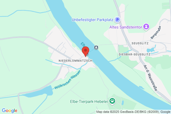 Elbklause Mario Hoke