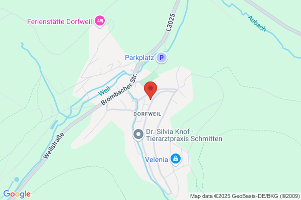 Evangelische Kirche Schmitten-Dorfweil - Evangelische Kirchengemeinde Rod am Berg