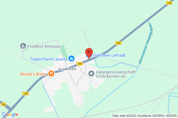 Niederlausitzer Orchideen und Tillandsien