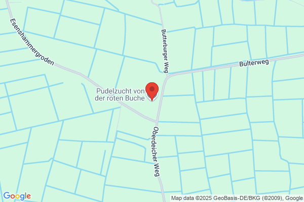 Zur Roten Buche