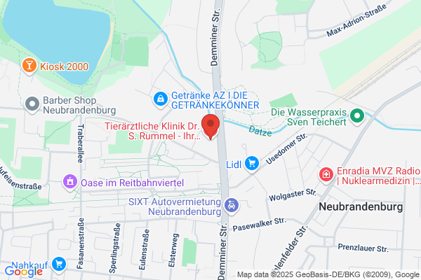 Tierärztliche Klinik Dr. S. Rummel - Ihr Tierarzt in Neubrandenburg