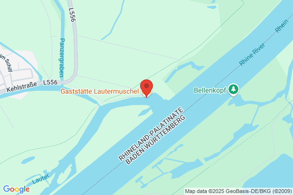Lautermuschel